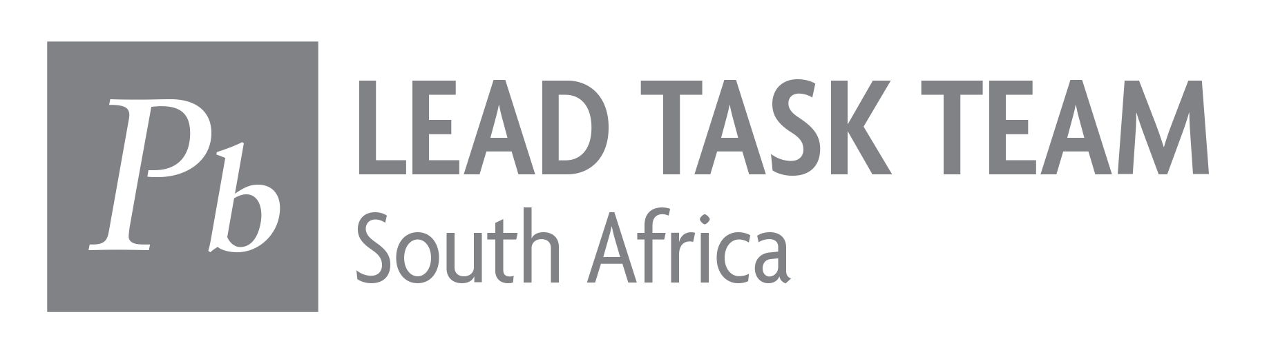 Lead Task Team South Africa